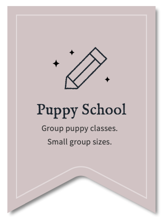 Puppy training Frimley Camberley classes Farnborough 121 Surrey Hampshire private professional tuition behaviourist Berkshire group sessions