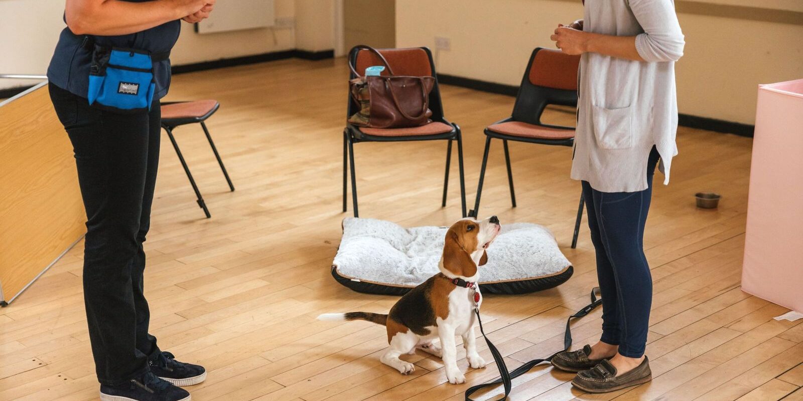 Puppy Training Classes Frimley Camberley Dog Trainer Behaviourist Hampshire Surrey Woking 2023