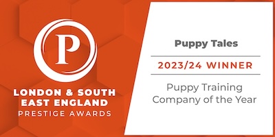 Puppy training Frimley Camberley classes Farnborough 121 Surrey Hampshire private professional tuition behaviourist Berkshire puppy trainer of the year award